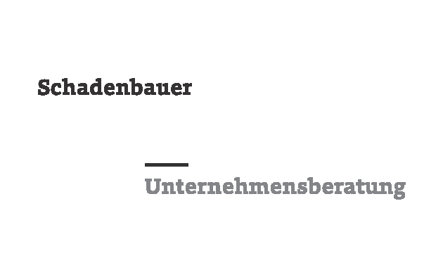 Schadenbauer Unternehmensberatung